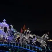 おもちの画像