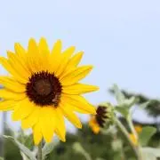 mkendの画像