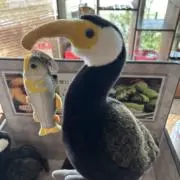 もらい泣き　【プロフ覗】