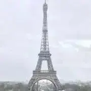 ミルちゃんの画像