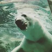 ふみよ☆☆