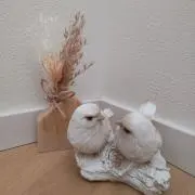 ✫てんちゃん✫の画像