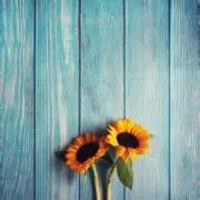 max　★*いいねしたらセール開催*★