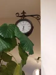 すいの画像