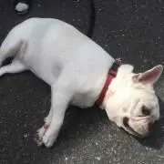 こーたむ