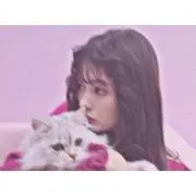 ぽよの画像