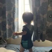 ネネの画像