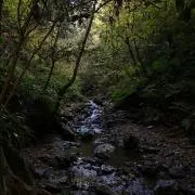 まの画像