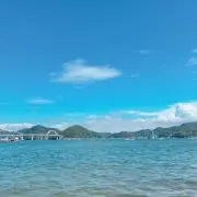 楓の画像