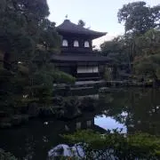 くろの画像