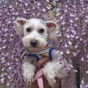 MIKKO✩