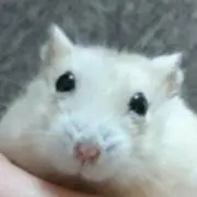 キューア