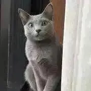 TOMO♪の画像
