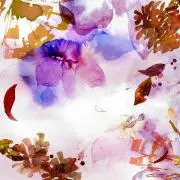 菜々子の画像