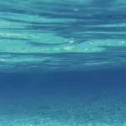 まっくの画像