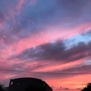 ベイクの画像