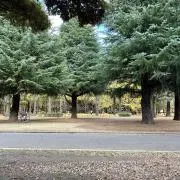 はしの画像