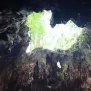 lasteohumanの画像