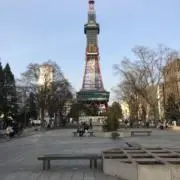 Ashの画像