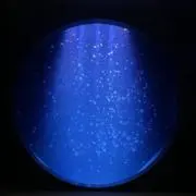 ぼんちゃま【プロフ必読】の画像