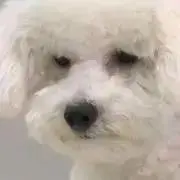 びび＊購入時プロフ一読ください