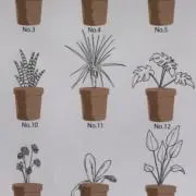 お砂糖