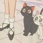 くるみの画像