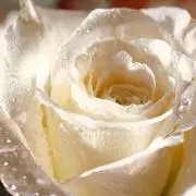 ムームーララ⭐︎プロフ必読♥️の画像