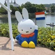 toroの画像