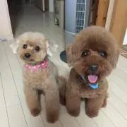 たかちんの画像