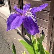 らん@プロフ必読の画像