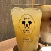 kdの画像