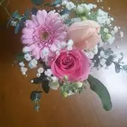 花子とマツの画像