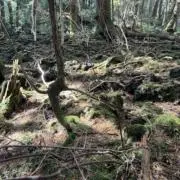 @の画像