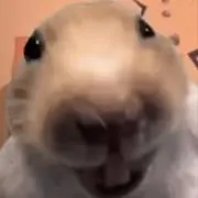 よきかなの画像
