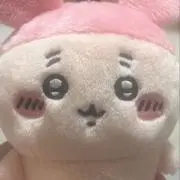 まろんの画像