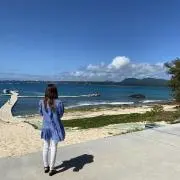 のら。の画像