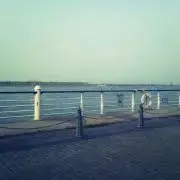 さやか
