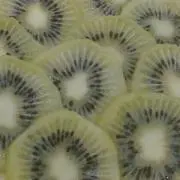 ぺこの画像