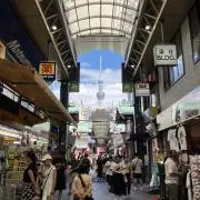 プラセボ効果東京の画像