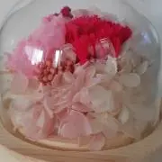 イコチャン