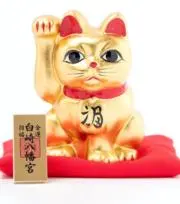 きんときの画像