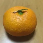 みかん