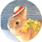 もちつきうさぎの画像