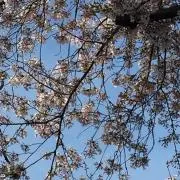 一期一会