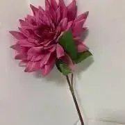 すみれ