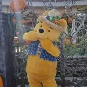 kazu