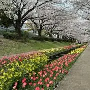HANA