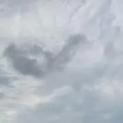 いるか