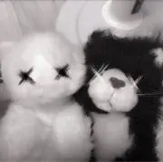 (՞_  ̫ _՞)の画像